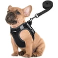 thumbnail image 1 of Chaleco FAYOGOO para perros de servicio, ligero, para razas pequeñas, con parches, 1 of 6