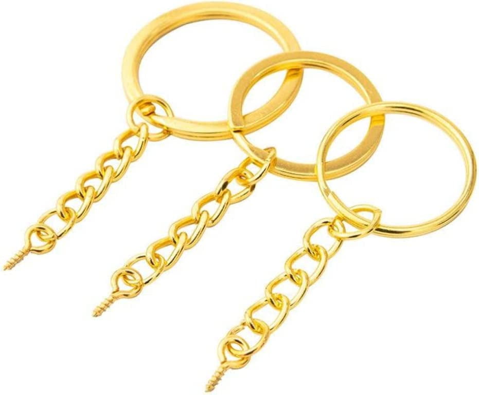 Keychain Rings Kit for Crafts Gold, PAXCOO Includes 100Pcs Split Key Ring  with Chain, 100pcs Jump Rings and 100pcs Screw Eye Pins for Resin Keychain  Making - Yahoo Shopping
