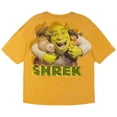 thumbnail image 2 of DreamWorks Shrek Donkey Puss in Boots Drop Shoulder T-Shirt Adult, 2 of 4