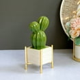 thumbnail image 4 of MesaSe 2PCs Fake Cactus Plants For Desk Decor  Mini Desk Plants In White Ceramic Pots, 4 of 6