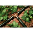 thumbnail image 3 of Rainbird T63-100 Drip Watering Tubing, 1/2 Inch, 100 Foot, 3 of 5