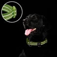 thumbnail image 3 of Reflective Dog Collar,Soft Neoprene Padded Pet Collar with ID Tag Ring,Adjustable for Small Dogs, 3 of 5