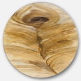 thumbnail image 1 of Designart 'Feather Natural elements I' Glam Metal Circle Wall Art - Disc of 36, 1 of 5