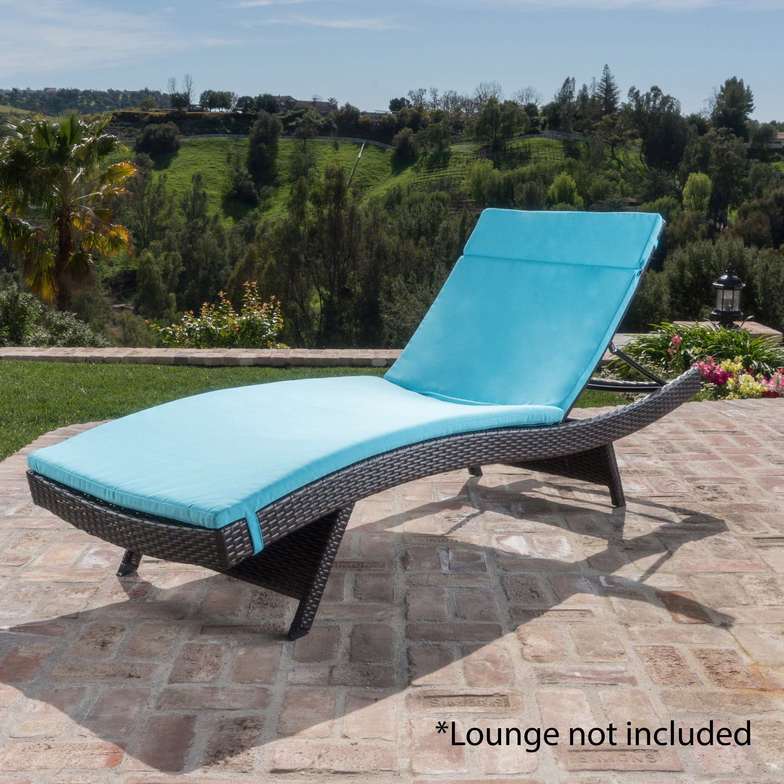 Anthony Outdoor Chaise Lounge Cushion, Blue