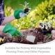 thumbnail image 5 of Paleta de mano para jardinería, mango ergonómico, herramienta de jardinería, pala de jardín para cavar, 5 of 5