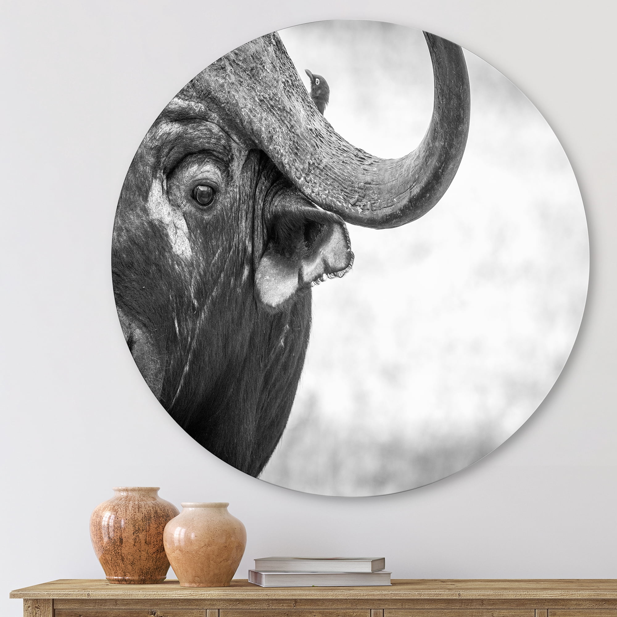 Designart 'Black and White Portrait Of Buffalo III' Farmhouse Circle Metal Wall Art 23x23 - Disc of 23