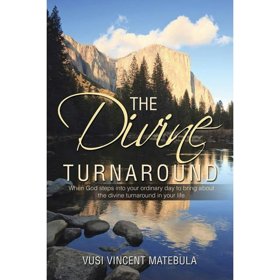 The Divine Turnaround (Paperback)