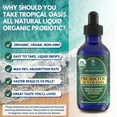 thumbnail image 5 of Tropical Oasis USDA Organic Probiotic Drops for Men, Women and Kids, Max Strength Liquid Vitamin Supplement 15 Strains of Probiotic 3 Billion CFU, Digestive & Immune Support, 4 fl oz, 160 Servings, 5 of 8
