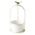 thumbnail image 1 of Abbracc Ceramic Fleshy Hydroponic Flower Pot with Golden Iron Stand White, 1 of 9