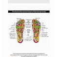 thumbnail image 5 of Foot Massar Electric Circulat Foot Booster For Feet And Legs, 5 of 5