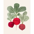 thumbnail image 2 of Barnes, Victoria 15x18 Black Ornate Wood Framed with Double Matting Museum Art Print Titled - Organic Veg I, 2 of 4