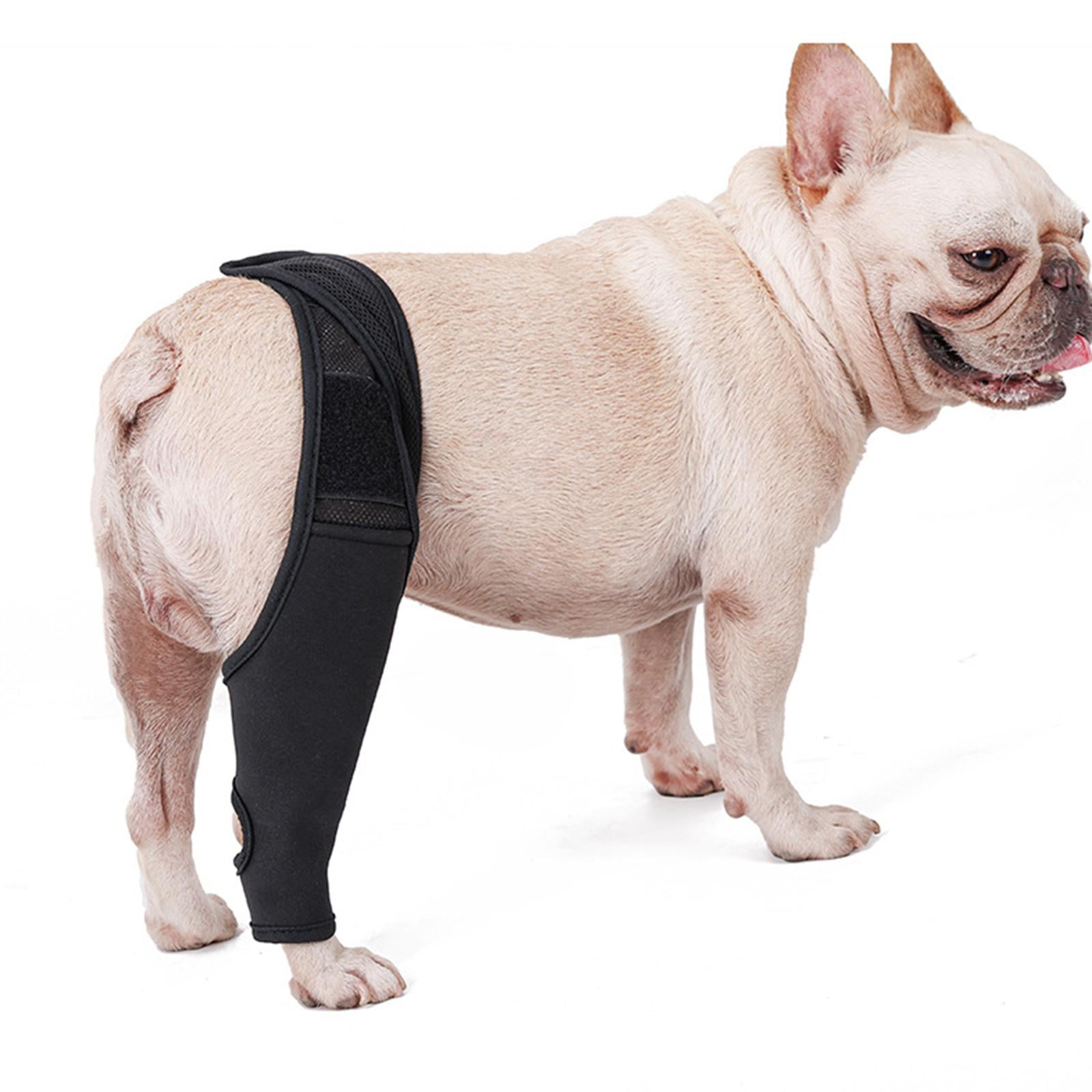 Dog elbow protector discount