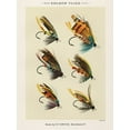 thumbnail image 2 of Marbury, Mary Orvis 12x14 Black Ornate Wood Framed with Double Matting Museum Art Print Titled - Salmon Fishing Flies I from Favorite Flies and Their Histories, 2 of 4