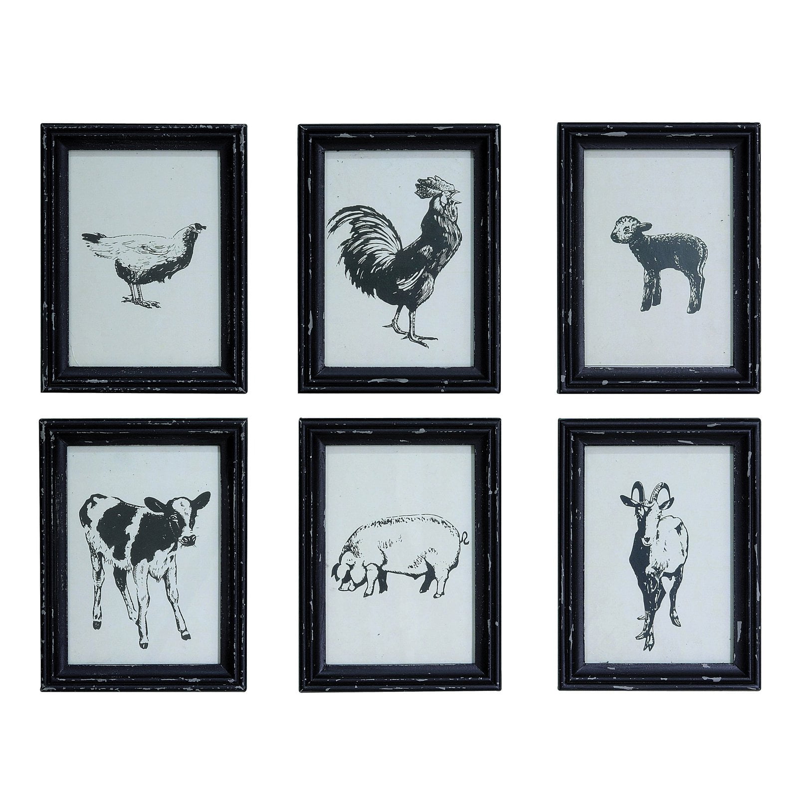 Animal Prints Wall Art