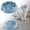 Blue-2PCS, variant on Small Slow Feeder Cat Dog Bowls, Puzzle Dog Bowl with Anti-, Pet Food Bowls for Fast Eaters,Interactive Dog Feeding Dishes to Slow Down Eating, Bloat Stop Bowls for Small Medium Dogs and Cats