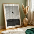 thumbnail image 6 of Aguadilla Palm Tree in Black and White - Aguadilla Puerto Rico Photography Palm Tree Minimalist Black and White Tropical Nature Landscape Summer Unframed Wall Art Print 16 x 24 inches, 6 of 60