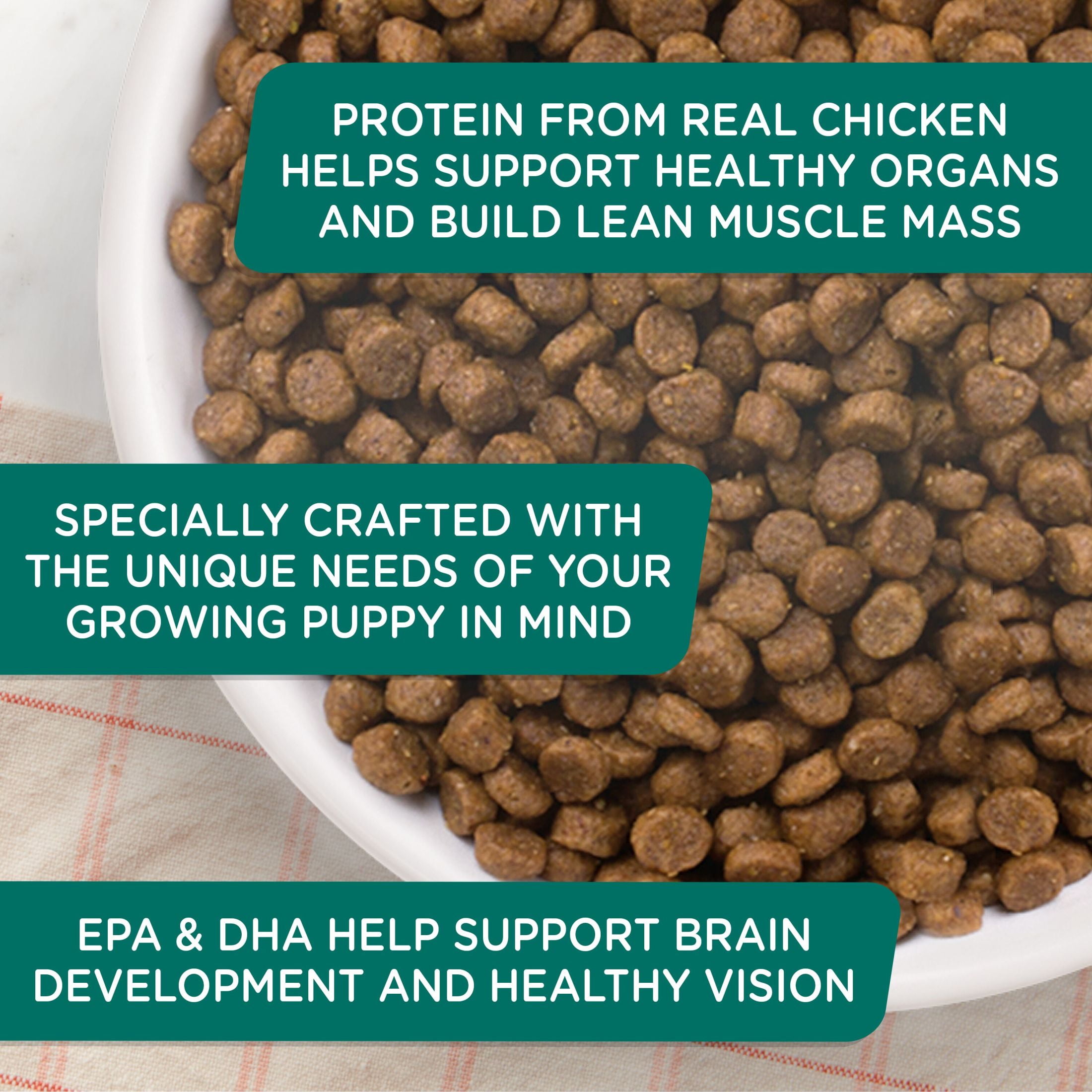 Rachael Ray Nutrish Bright Puppy Dry Dog Food Real Chicken Brown Rice Recipe 6 lb Bag Walmart