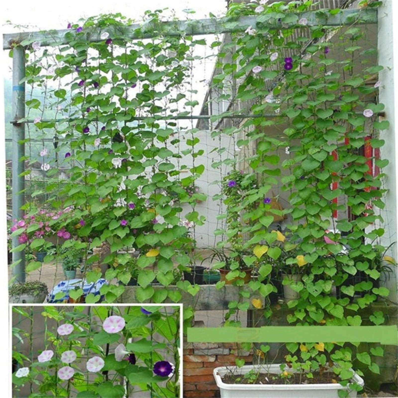 JilgTeok 5 Packs Garden Plant Climbing Net for Cucumbers Tomatoes Peas - Strong Trellis Netting Support for Vegetables Flowers Vines