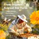 thumbnail image 2 of Pellets de cera de abejas VEGISHINE Pure Natural White 0,9/2,3/4,5/9,1 kg, 2 of 7