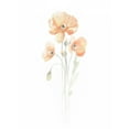 thumbnail image 2 of Vess, June Erica 15x18 White Modern Wood Framed Museum Art Print Titled - Delicate Bouquet I, 2 of 4