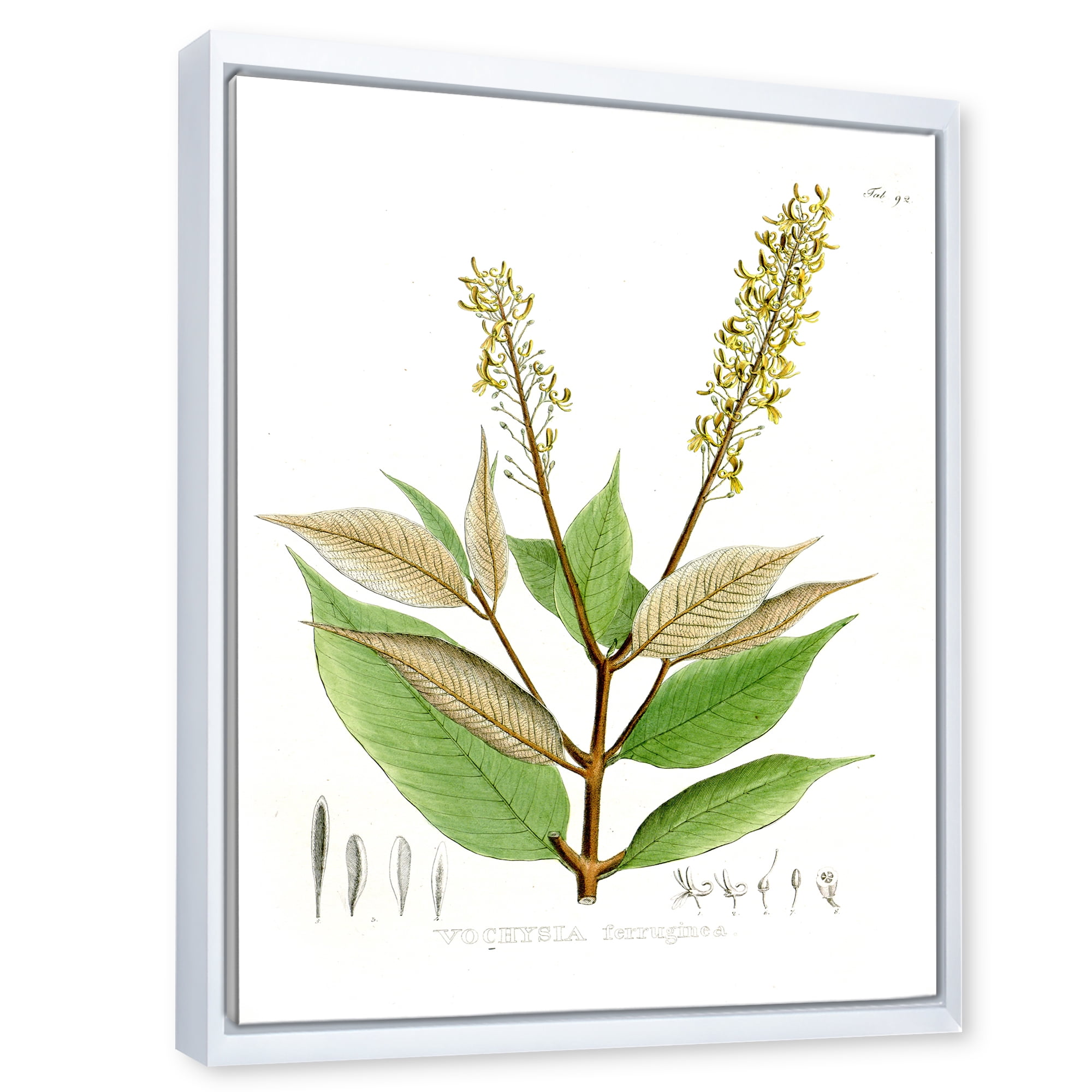 Ancient Brazilian Plant V 16 in x 32 in Framed Painting Canvas Art Print, by Designart