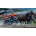 thumbnail image 2 of Malovrh, Milan 24x15 Gold Ornate Wood Framed with Double Matting Museum Art Print Titled - Race 2, 2 of 4