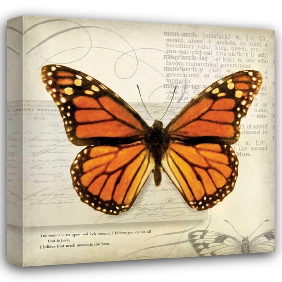 Amy Melious 36x36 Gallery Wrapped Canvas Wall Art Titled - Butterflies Script II