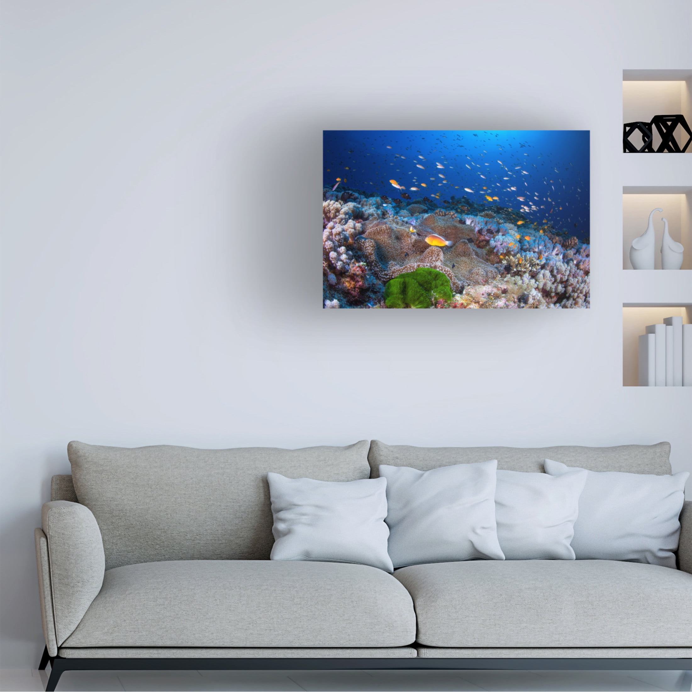 Canvas Wall Art - Barathieu Gabriel 'Anemon And Anthias' Wall Art for Living Room, Bedroom, or Office Décor by Trademark Fine Art - 32 x 22 Inches