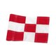 thumbnail image 1 of Bandera verde de golf, cara del campo de prácticas, agujero en forma de copa, bandera pequeña, bandera de celosía, bandera verde del campo, 1 of 6
