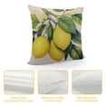 thumbnail image 4 of JEUXUS &nbsp;Fruit Pillow Covers Fresh Lemon with Green Leaf Decorative Pillow Cover Square Pillowcase Decor Indoor Outdoor Home Couch, 4 of 5
