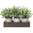 thumbnail image 1 of Plantas artificiales de eucalipto falsas con bandeja de madera, paquete de 3 unidades Dahey, 1 of 6