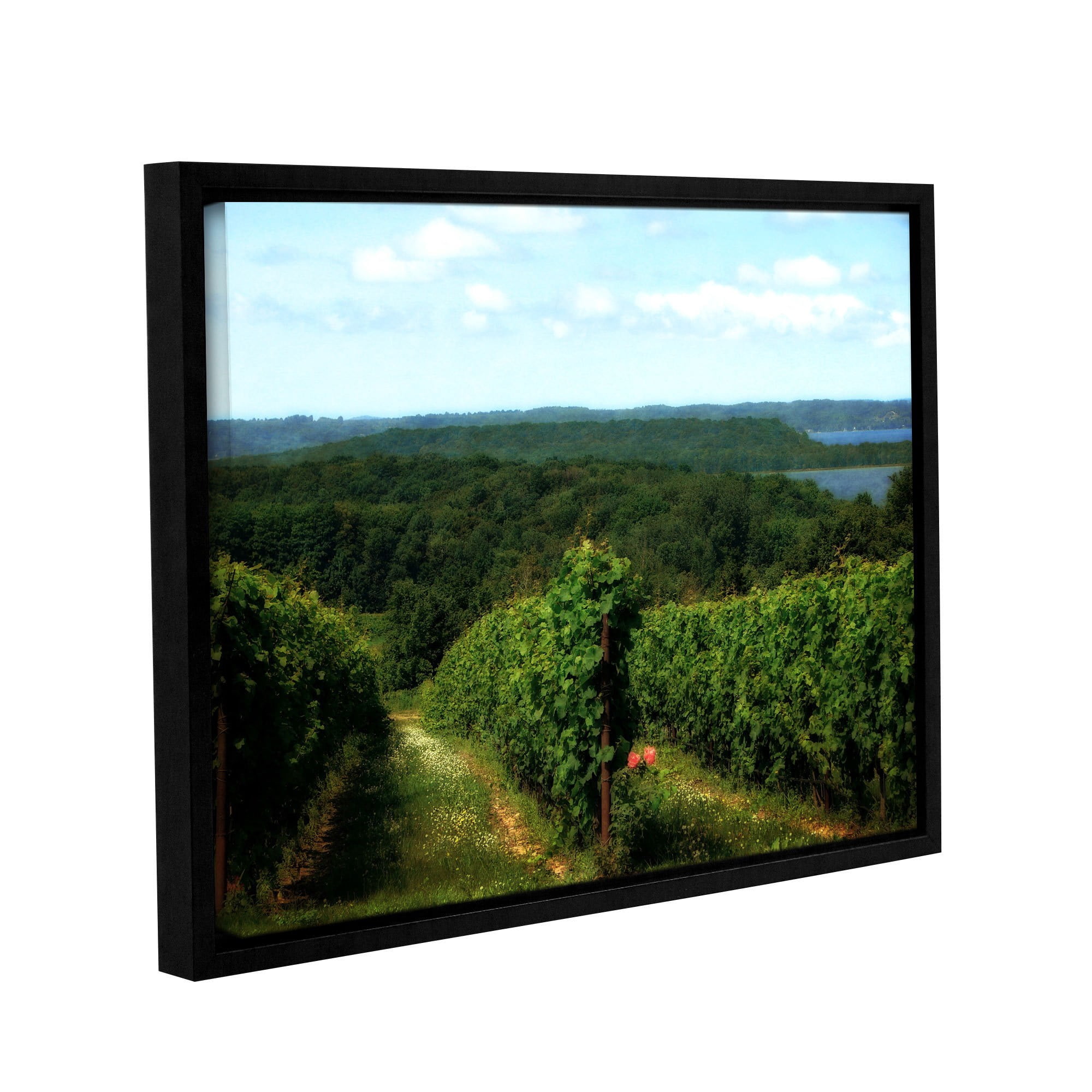 ArtWall Kevin Calkins "Vineyard on the Peninsula" Gallery-Wrapped Floater-Framed Canvas