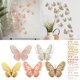 thumbnail image 1 of Ganfancp Adhesivo Tridimensional de Doble Capa de Papel de Perlas de Color con Simulación de Hueco Decoración Diy Wall Sticker Ofertas Flash 1 Paquete de Adhesivos Murales (20), 1 of 7