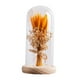 thumbnail image 3 of Regalos de flores para iluminar flores en cúpula de cristal, regalos del Día de San Valentín, lámpara LED de mesa para cafetería, fiesta, aniversario madera Yinane lámpara de noche, 3 of 8