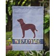 thumbnail image 3 of Carolines Treasures BB5505GF American Water Spaniel Welcome Garden Size Flag, 3 of 3