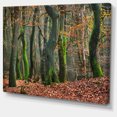 thumbnail image 2 of Forêt d'Automne aux Pays-Bas, 2 of 3