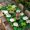 Green LawnGreen Black, variant on St. Patrick's Day Table Cloths for 5 Foot Rectangle Tables, Lucky Shamrocks Spring Leaves Plants Patio Waterproof Elastic Fitted Tablecloths, Washable Rectangular Table Cover for Camping