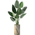 thumbnail image 4 of Artificial Tree in Modern Contemporary Planter, Fake Bird of Paradise Silk Tree for Indoor and Outdoor Home Decoration - 58" Overall Tall (Plant Pot Plus Tree), 4 of 5