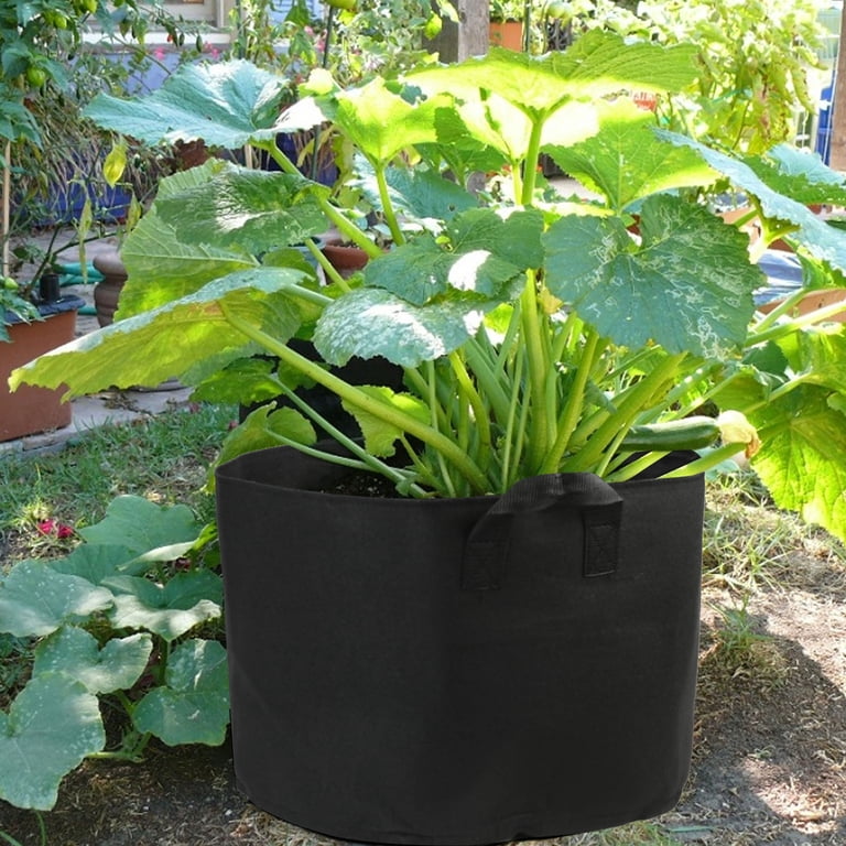 LotFancy 5-Pack 20 Gallon Grow Bags, Black photo 8