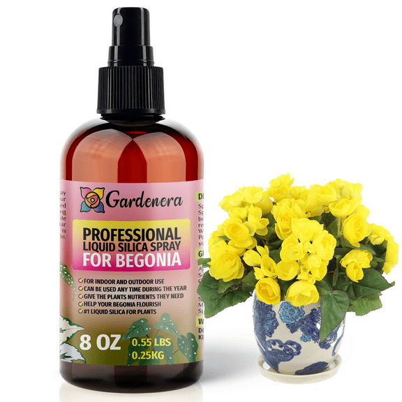 β PREMIUM Bioavailable Silica Fertilizer for Begonia β 8oz β Ideal for Hydroponics & Soil β Healthier Plants with Strong Stalks - SPRAY