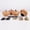 Varnished, variant on Solid Short Wood Furniture Legs 2 Inch Set of 4 - Brown - Heavy Duty Table Legs, Couch,Sofa Feet Replacement, Wooden Legs for Furniture Risers,Coffee Table,Cabinet,Bed,Dresser,Ottoman