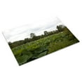 thumbnail image 3 of Print: Kenilworth Park And Aquatic Gardens, Also Known As Anacostia Park, 3 of 4