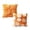 2Pcs, variant on Fall Throw Pillow Covers 18x18 Autumn Decorations Orange Pumpkin Accent Pillowcase for Outdoor Porch Sofa Couch Bed Living Room Plush Halloween Farmhouse Home Decor