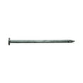 thumbnail image 2 of Pro-Fit 2 in. Common Hot-Dipped Galvanized Steel Nail Flat Head 1 lb, 2 of 2