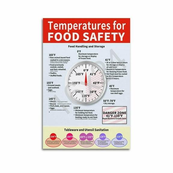 Wall Poster Temperature for Food Safety Poster Poster for Room Aesthetic Posters