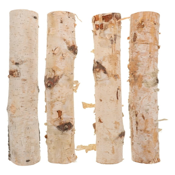 ETHZZLE 4Pcs Birch Wood Decor Cylindrical Birch Logs for Floral Arrangements and DIY Projects