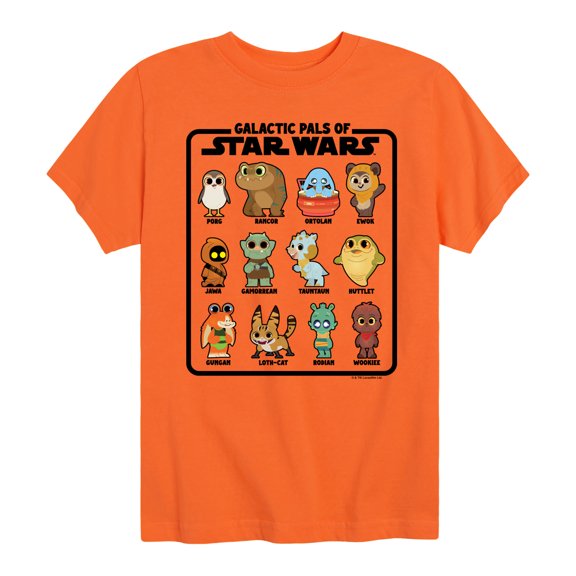 Star Wars - Galactic Pals Of - Toddler And Youth Short Sleeve Tee