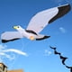 thumbnail image 1 of KITE para niños y adultos Increíbles s de gaviota para juegos y actividades libre sola línea con herramientas voladoras Cola Cometa gaviota, 1 of 8