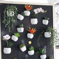 thumbnail image 1 of Succulent Shape Refrigerator Magnets Removable Plastic No Scratch Whiteboard Magnets Kitchen Decor, 1 of 8