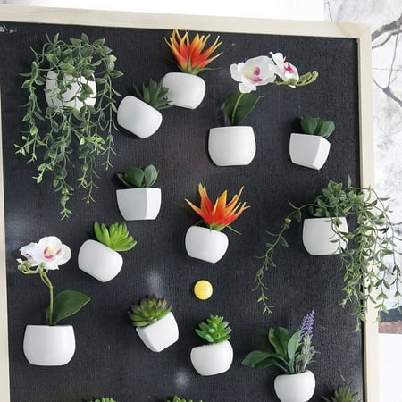 

HLONK Succulent Shape Refrigerator Magnets Removable Plastic No Scratch Whiteboard Magnets Kitchen Decor